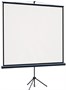 Экран Lumien Eco View 104x186 Matte White (LEV-100113) 222895