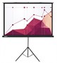 Экран Cactus Triscreen 180x180см (CS-PST-180X180) 222896