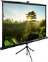 Экран Cactus Triscreen 180x180см (CS-PST-180X180) 222896