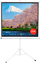 Экран Sakura Cinema S'OK SCPST-180x180 222941