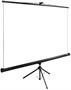Экран Cactus WallExpert 138x220см (CS-PSWE-220X138-WT) 222954