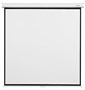 Экран Digis Kontur-D 248x189см MW (DSKD-4304) 222958