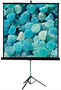Экран ViewScreen Clamp Pro 244x183см (TCP-4306) 223071