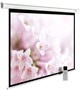 Экран Cactus SIlverMotoExpert 138x220см (CS-PSSME-220X138-WT) 223088