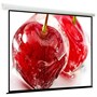 Экран ViewScreen Breston 203x203см (EBR-16103) 223114