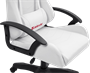 Игровое кресло Defender Lion White 223327