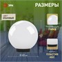 Светильник ЭРА НТУ 01-150-401 204853
