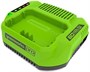 Зарядное устройство Greenworks G24X2UC2 205272