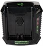 Зарядное устройство Greenworks G82C 205287
