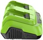 Зарядное устройство Greenworks G24X2C8 205289