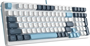 Клавиатура A4Tech Fstyler FS300 Panda Snowboarding 233649