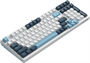 Клавиатура A4Tech Fstyler FS300 Panda Snowboarding 233649