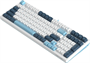 Клавиатура A4Tech Fstyler FS300 Panda Snowboarding 233649
