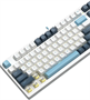 Клавиатура A4Tech Fstyler FS300 Panda Snowboarding 233649