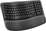 Клавиатура Logitech Wave Keys Graphite (920-012319) 233914