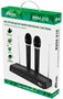 Микрофон Ritmix RWM-210 234691