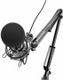 Микрофон Ritmix RDM-180 Black 234692