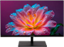 Монитор IRBIS 24" Mir View (R24FIDS123.100_MIR) 235349