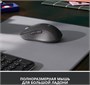 Мышь Logitech Signature M650 L Graphite (910-006236) 235947