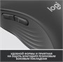 Мышь Logitech Signature M650 L Graphite (910-006236) 235947