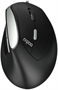 Мышь Rapoo EV200 Black 236067
