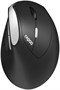 Мышь Rapoo EV250 Black 236071