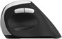 Мышь Rapoo EV250 Black 236071
