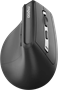 Мышь Rapoo EV310M Black 236087