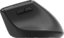 Мышь Rapoo EV310M Black 236087