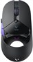 Мышь Rapoo V300L Black 236094