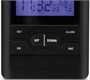 Метеостанция VITEK VT-3532 BK 200331