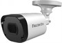 IP камера Falcon Eye FE-IPC-D2-30P 240734