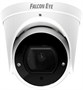 Камера Falcon Eye FE-MHD-D2-25 241354