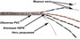 Бухта TWT TWT-5EUTP-XS/100, 100м 241916