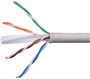 Бухта Gembird UPC-6055-4-CU/100, 100м 241945